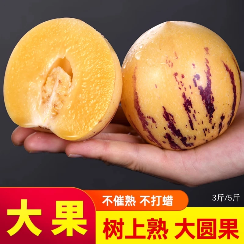 正宗人参果树熟新鲜皮薄大圆果黄肉清甜多汁人生果水果1斤3斤5斤