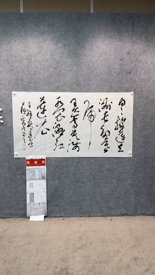 【闪购商品】书法sf不二轩书法作品03syj