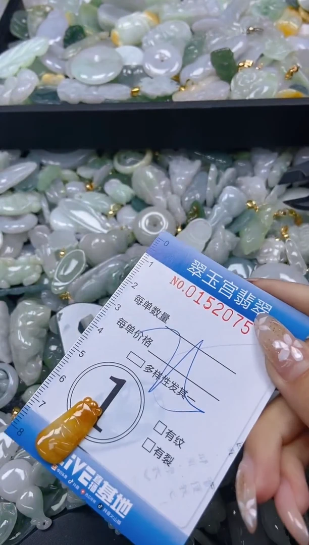 翡翠未镶嵌颈饰闪购0152075