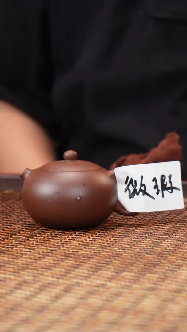 汀禾紫砂微瑕西施