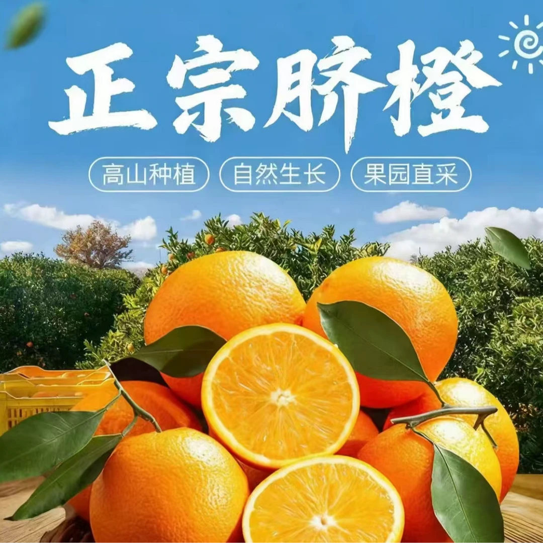 【现摘现发】正宗赣南脐橙皮薄肉厚多汁当季新鲜采摘发货多仓发货