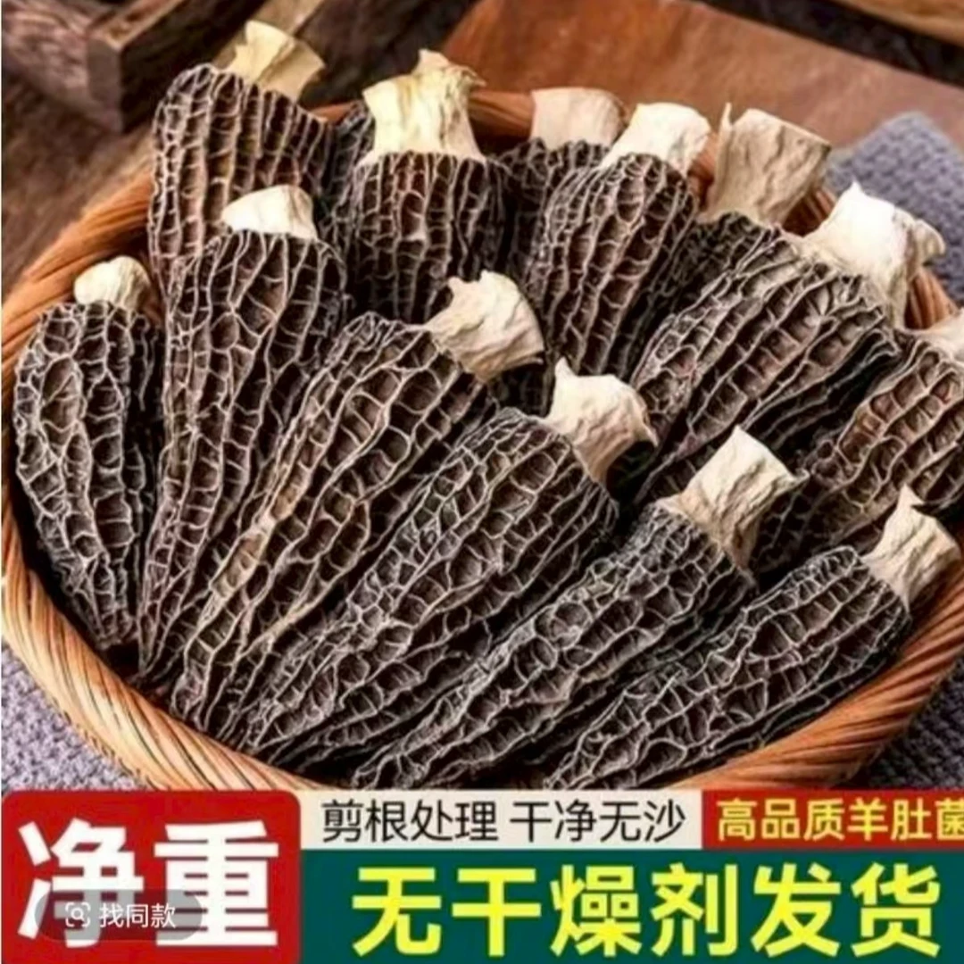 （5cm—8cm）高山干羊肚菌 老乡山货 鲜味十足