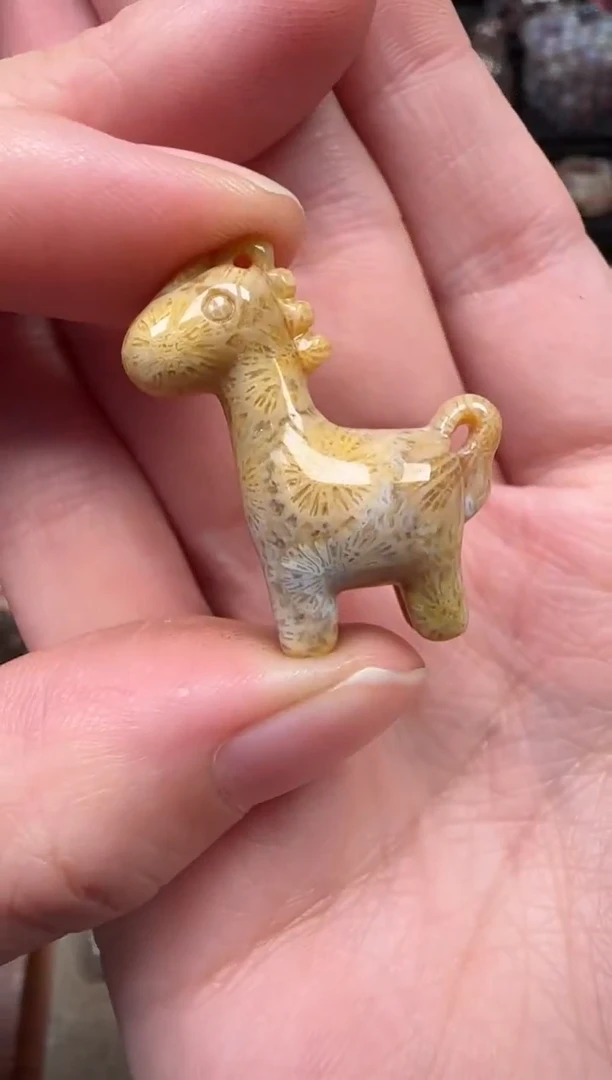 颈饰未镶嵌硅化珊瑚（珊瑚玉）190