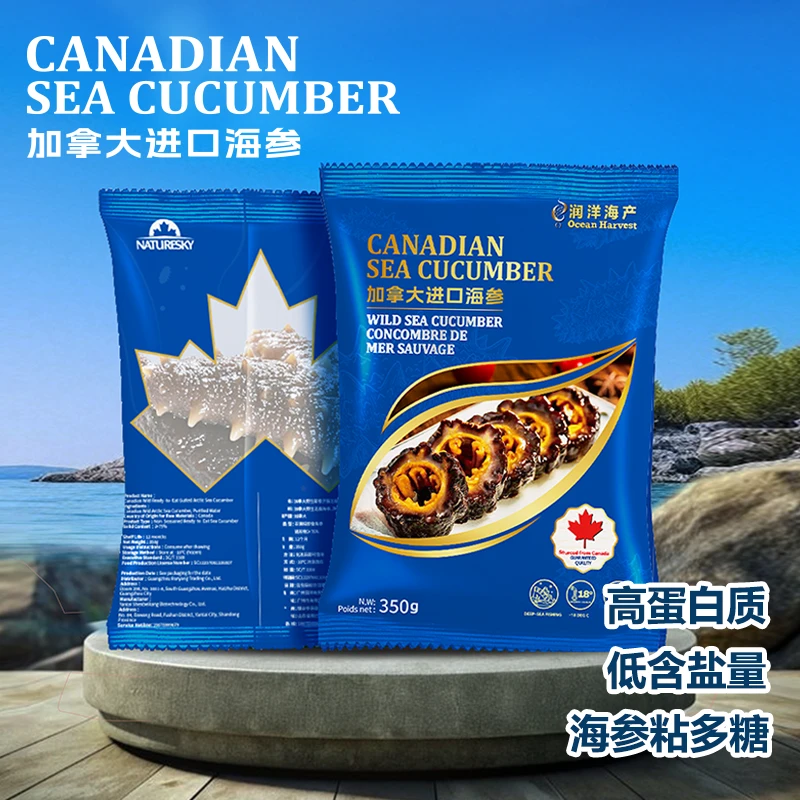 加拿大北极海参 深海冷冻原条即食海参 全新包装 350g（3-4头）