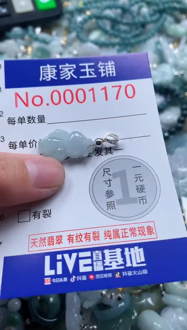 翡翠未镶嵌吊坠(不含链)1170