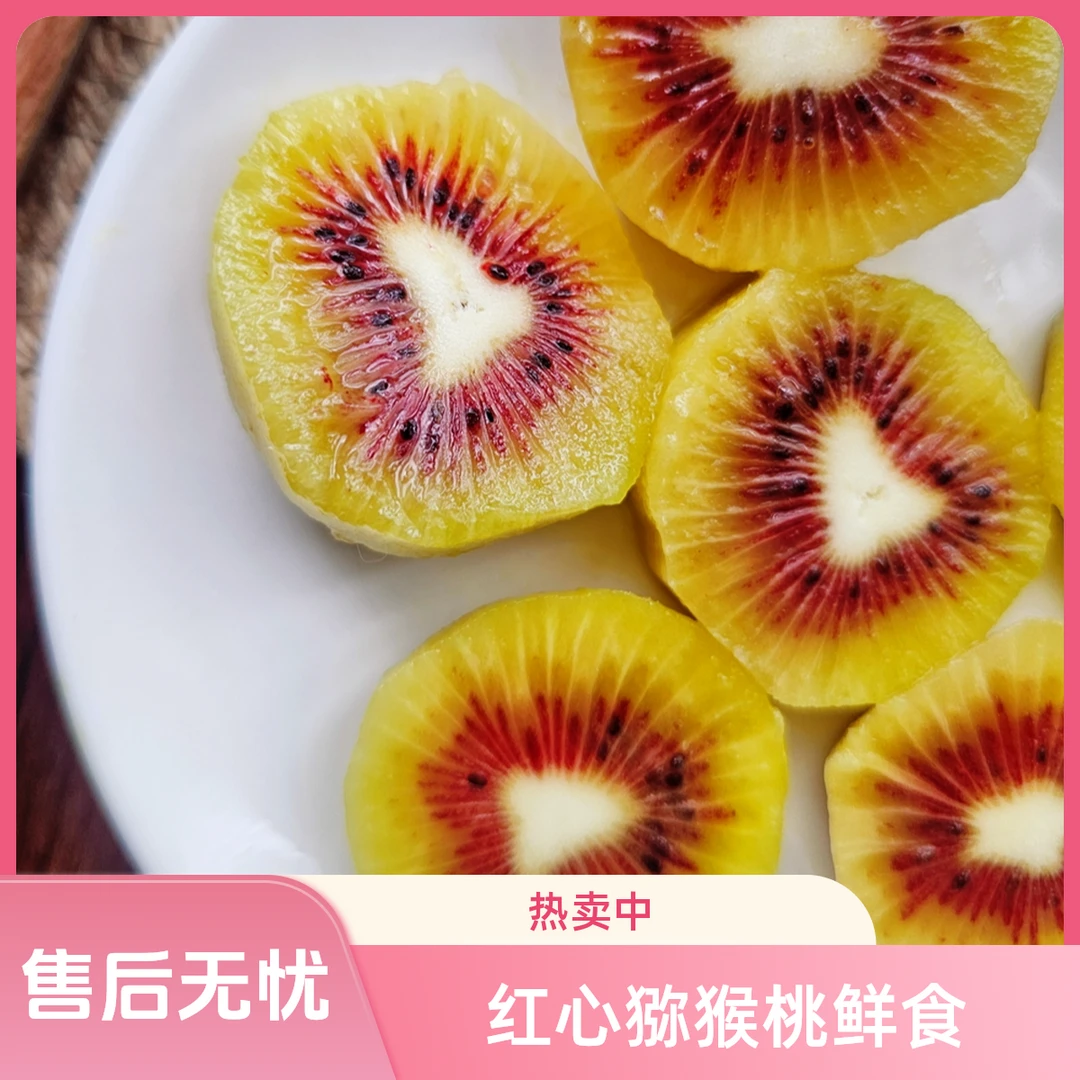 【中果】贵州六盘水红心猕猴桃10枚70-90g当季水果奇异果