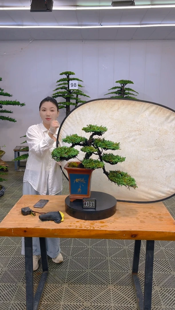 无花朵一物一拍一物一拍
