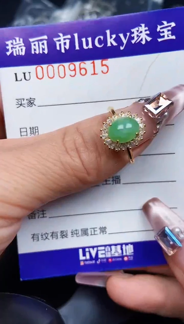 翡翠银S925镶嵌颈饰9615