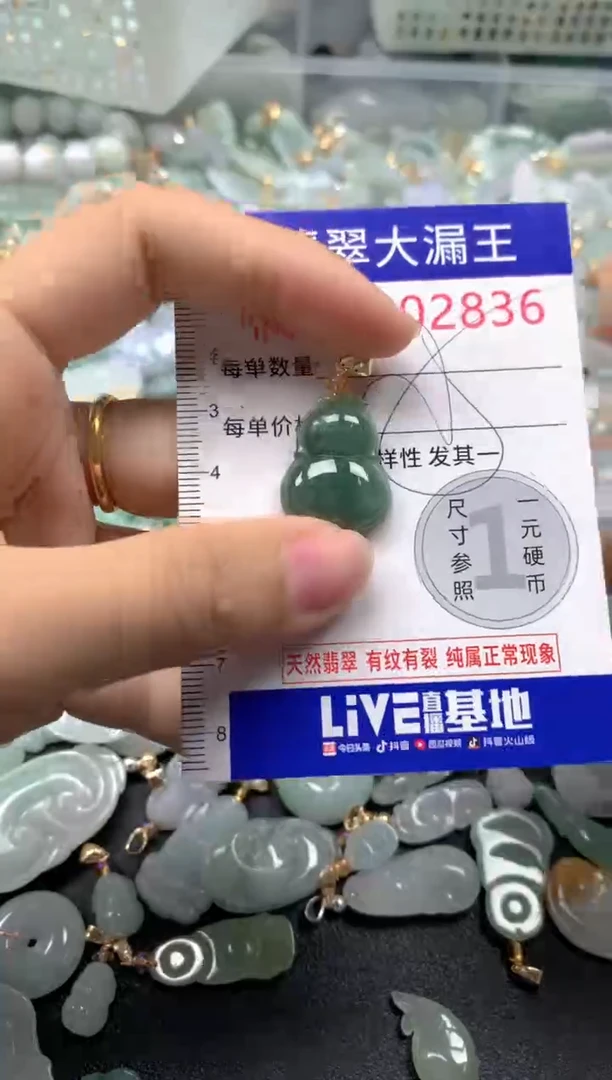 颈饰未镶嵌翡翠2836