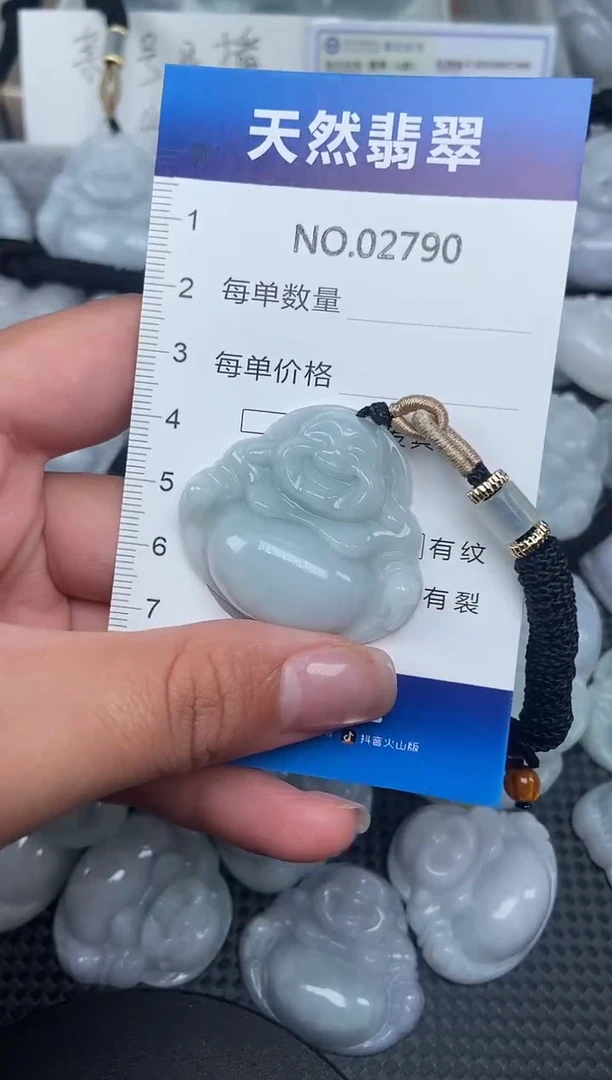 颈饰未镶嵌翡翠纯天然A货翡翠2790