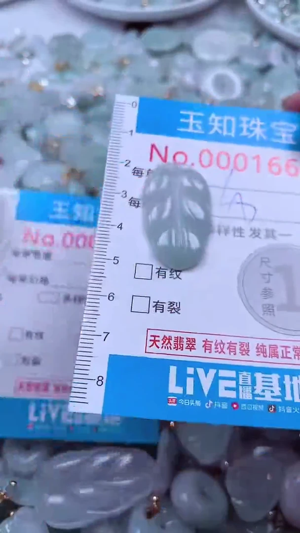 吊坠(不含链)未镶嵌翡翠1663