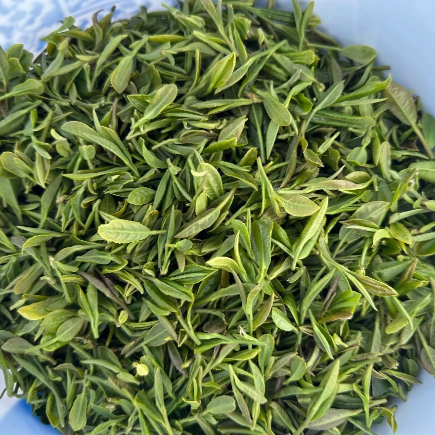【头采一芽一叶 江北龙井】日照绿茶扁茶2025年4月炒制鲜香露天头采