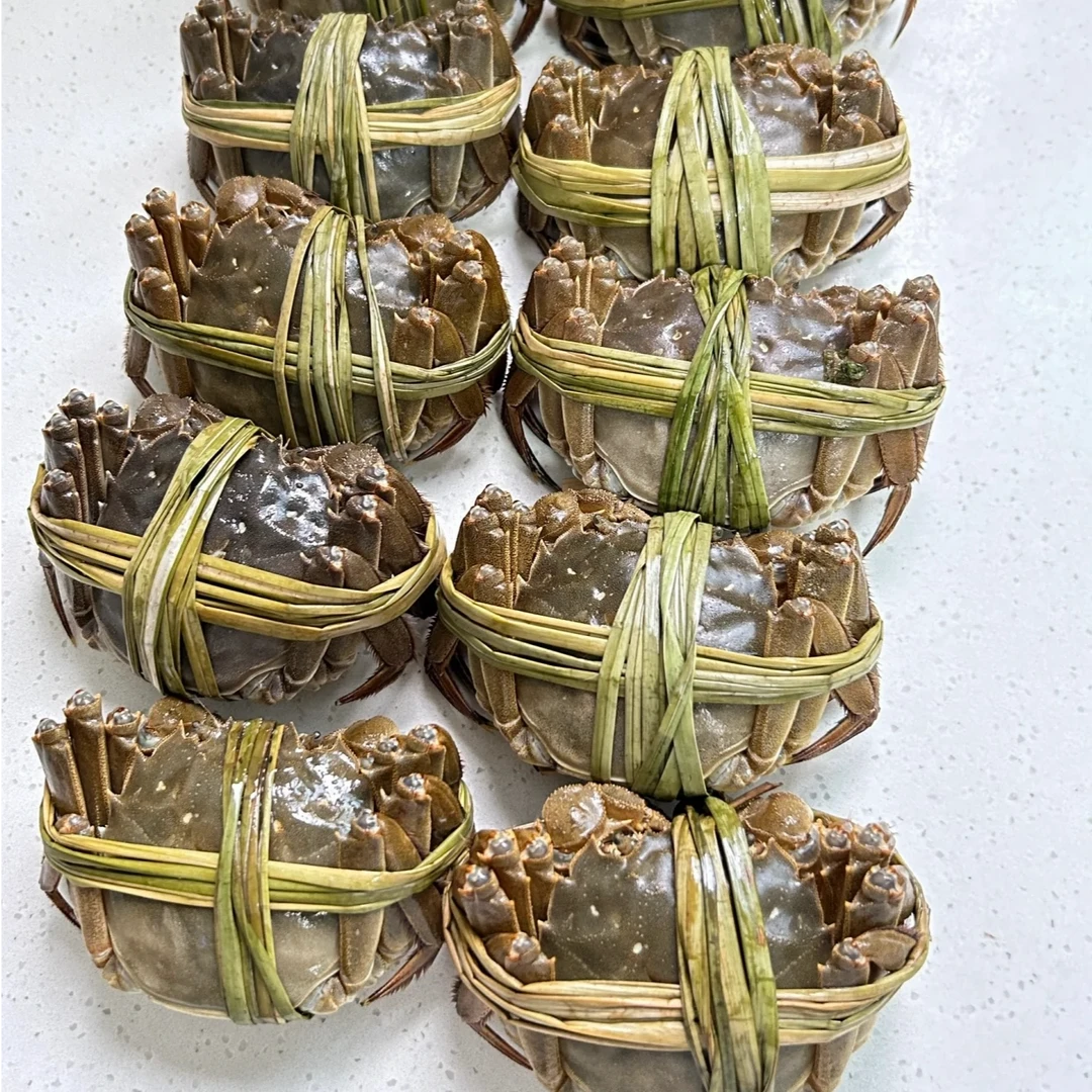 （活蟹）精品2.5两江苏大闸蟹母蟹养殖蟹 1只5只10只装 （蒸熟需备注）