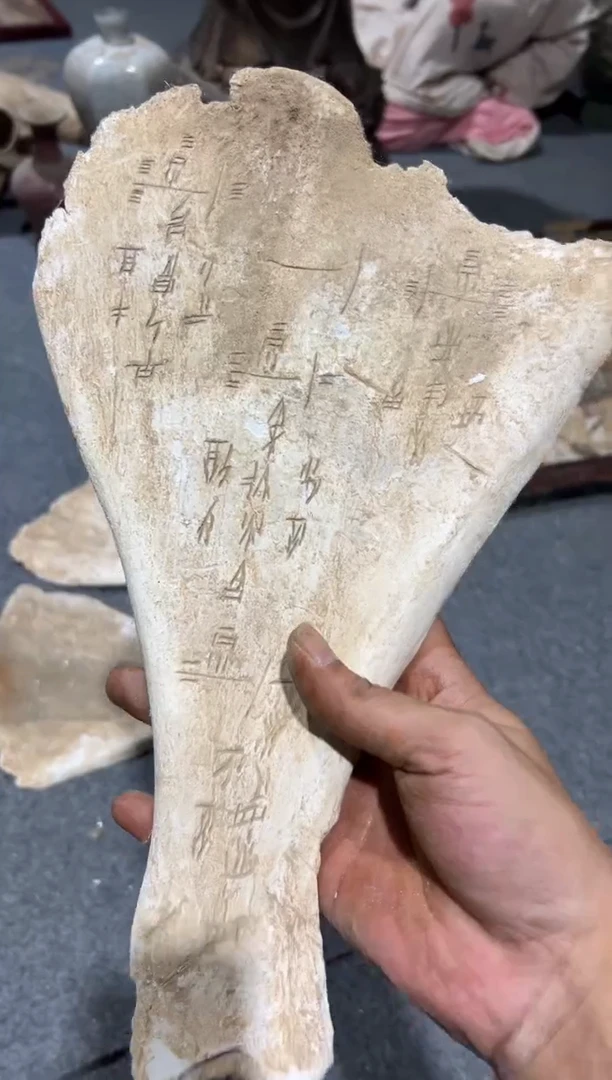 瓷器瓷器瓷器瓷器50