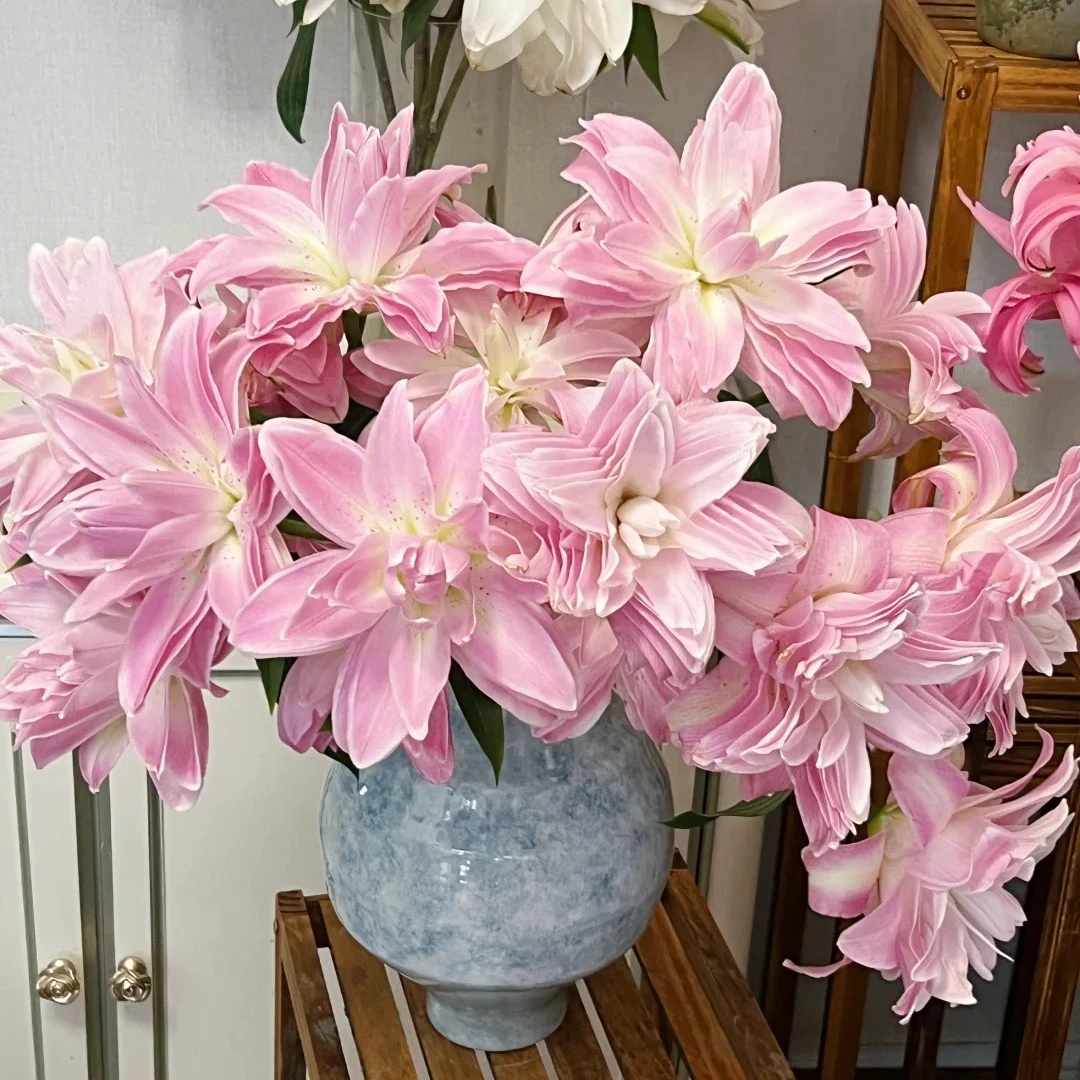 【花王朝】莲花威风重瓣香水百合鲜花水养插花鲜切花