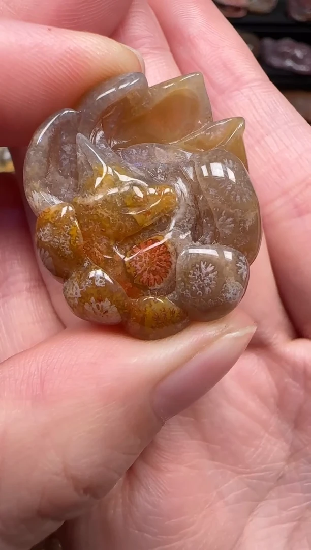 颈饰未镶嵌硅化珊瑚（珊瑚玉）796