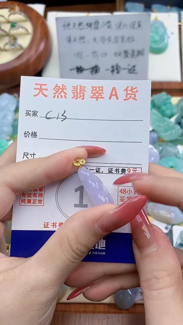 颈饰未镶嵌翡翠天然A货翡翠挂件