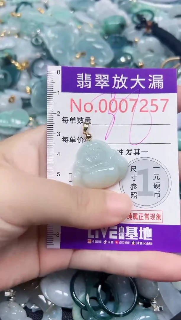 颈饰未镶嵌翡翠7257