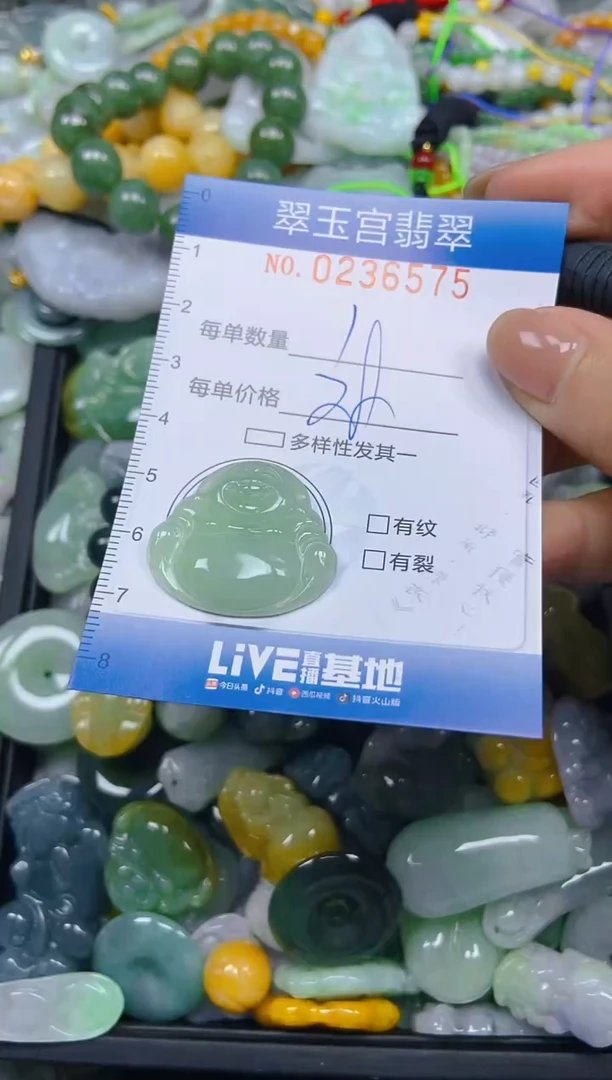 颈饰未镶嵌翡翠闪购C0236575