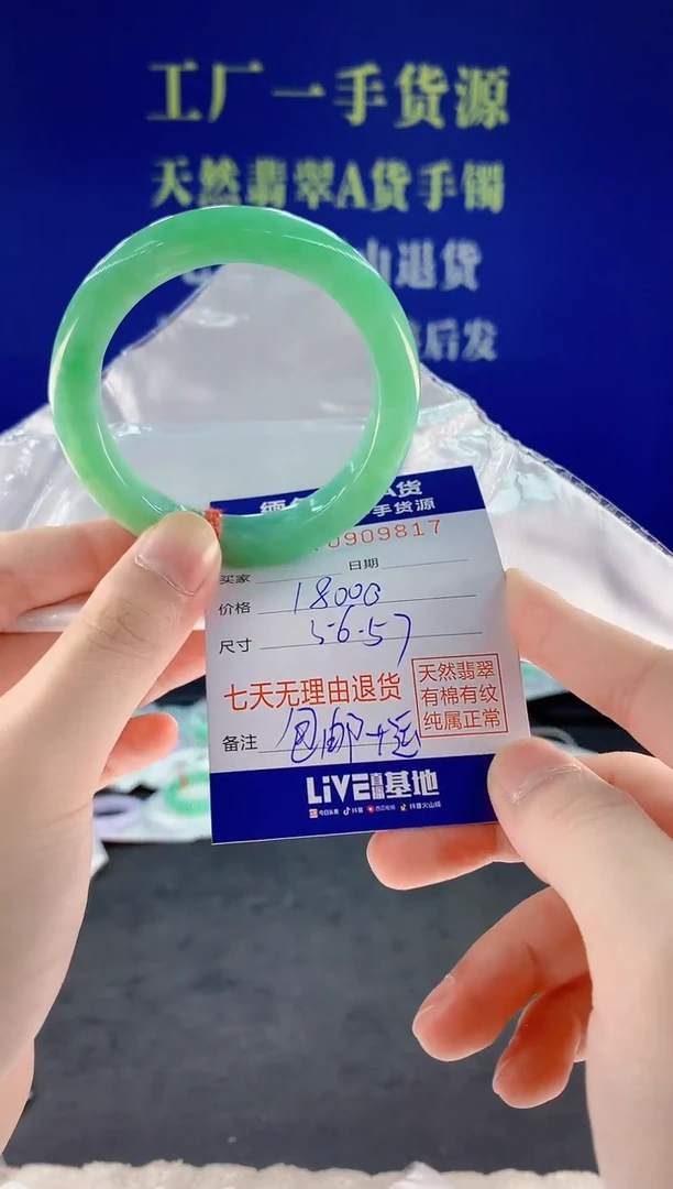 未镶嵌手镯翡翠17