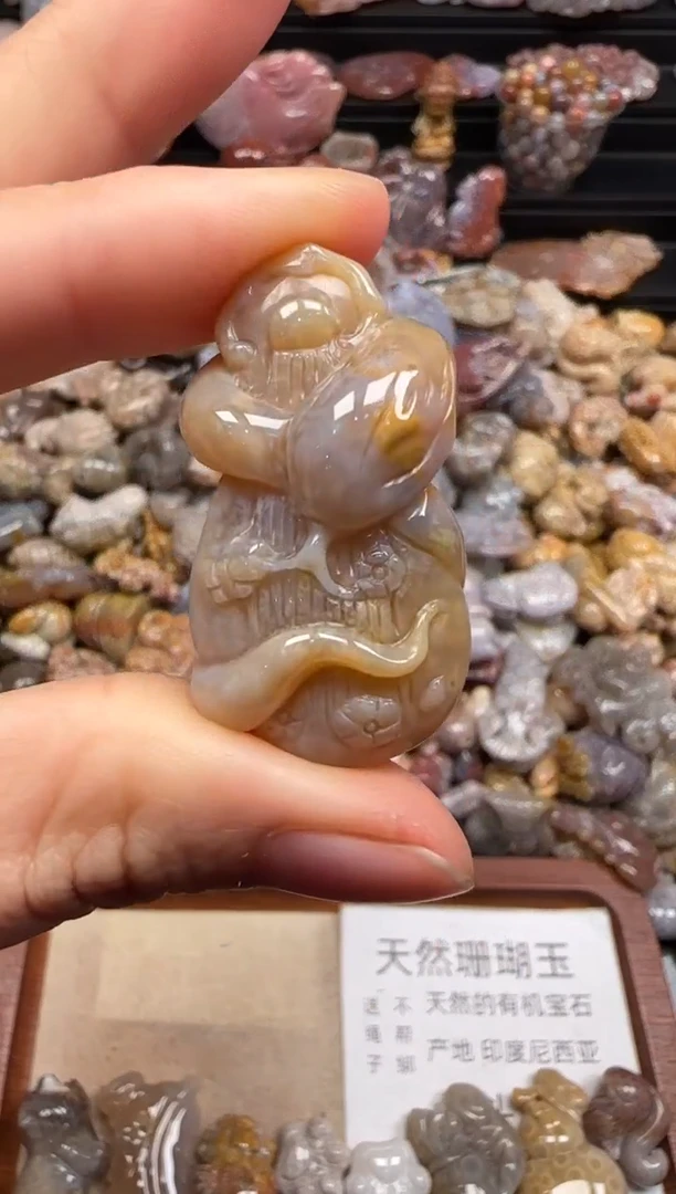 【闪购商品】硅化珊瑚（珊瑚玉）颈饰未镶嵌508