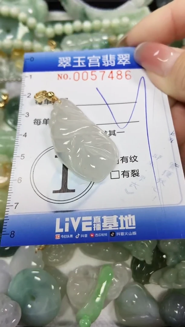 【闪购商品】翡翠颈饰未镶嵌闪购商品0057486