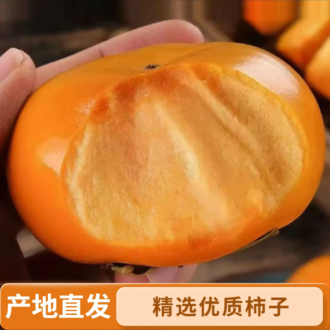 【秋天爸爸专属】新鲜应季巧克力脆甜柿子脆甜多汁无核脆柿