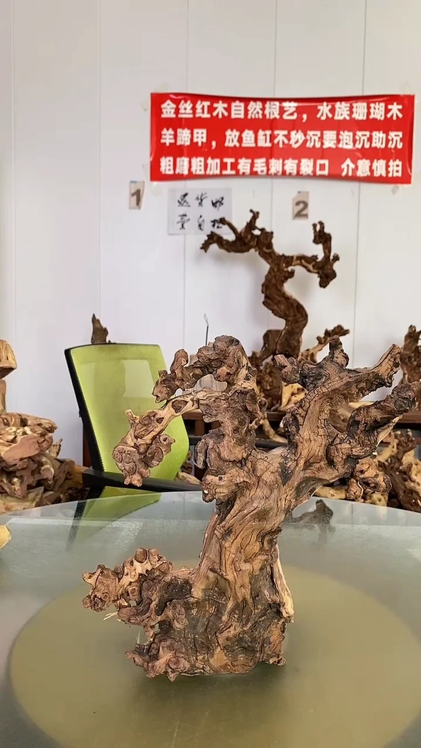 香榧木老*金丝红木 羊蹄甲