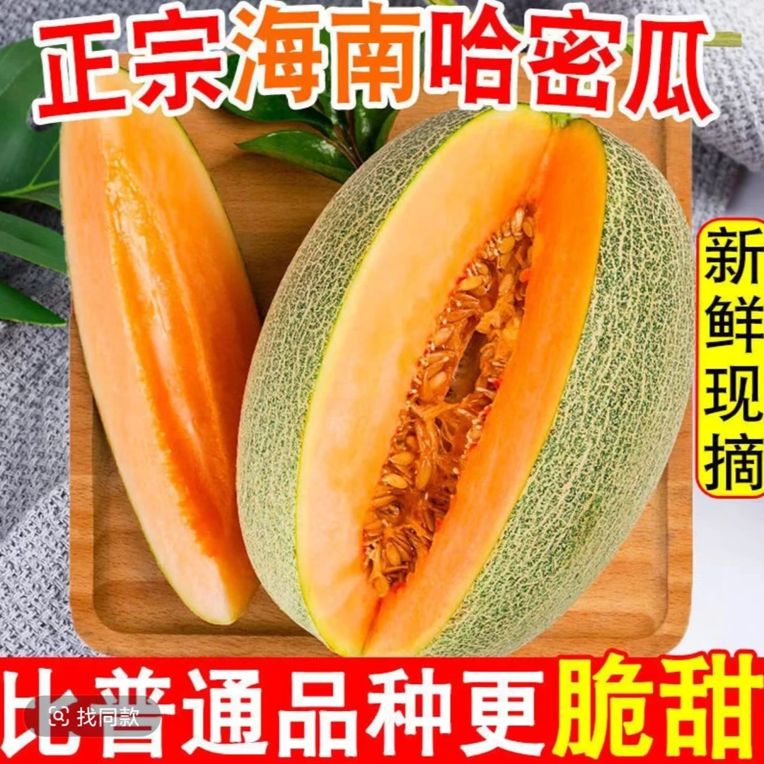 海南沙地蜜哈密瓜皮薄甜多汁新鲜采摘产地直发