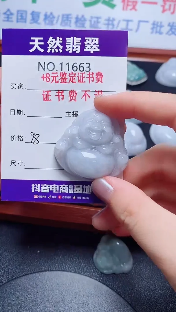 翡翠未镶嵌吊坠(不含链)663