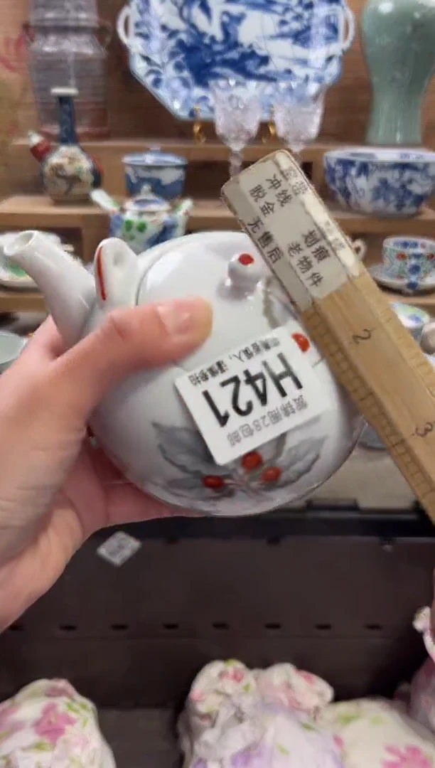 瓷片素*       H421