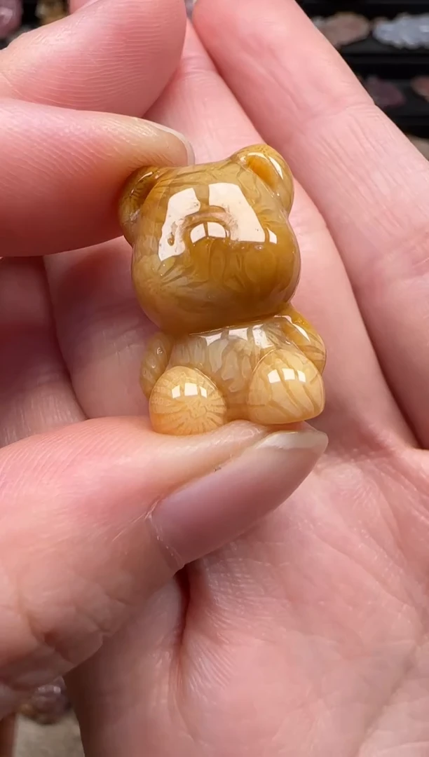 硅化珊瑚（珊瑚玉）未镶嵌颈饰202