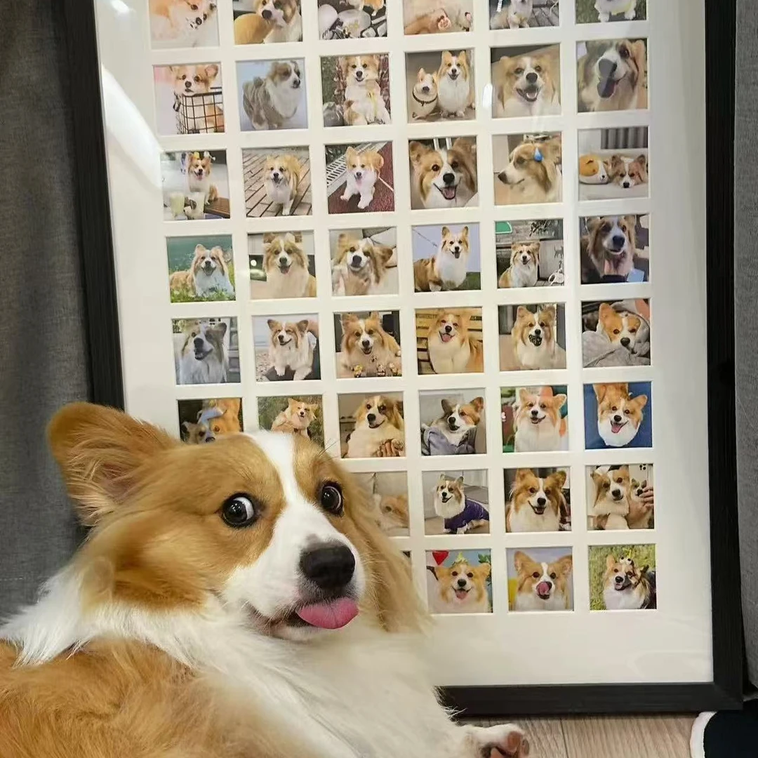 专属相册定制，拍完联系客服