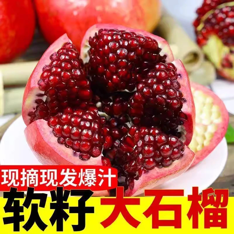 Y【脆甜多汁】四川会理软籽石榴新鲜现摘应季新鲜水果石榴