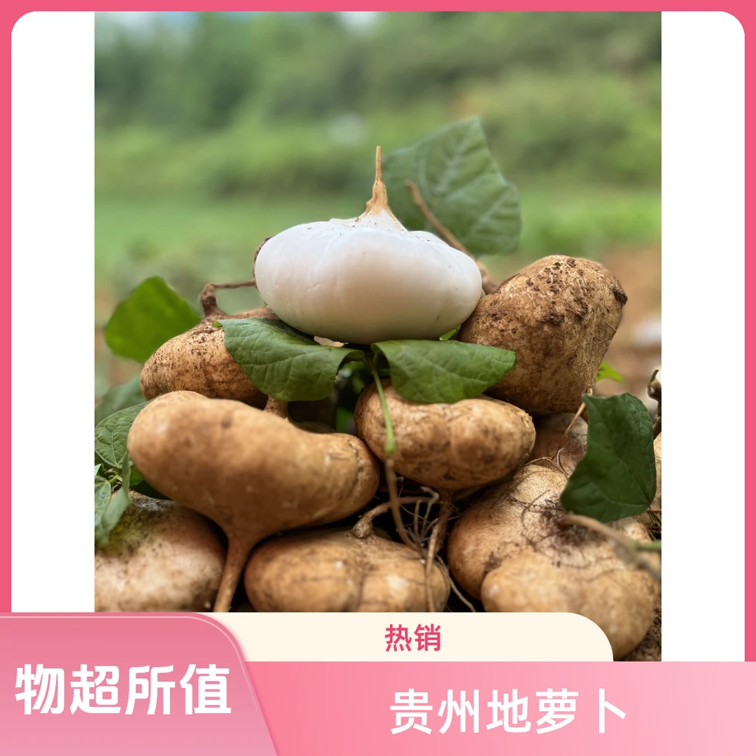 贵州农家沙地新鲜地萝卜凉薯地瓜清甜可口水果