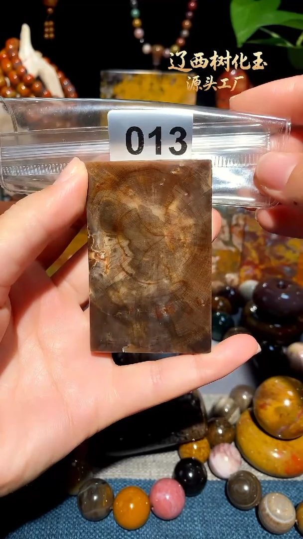 未镶嵌-硅化玉天然北票硅化玉吊坠