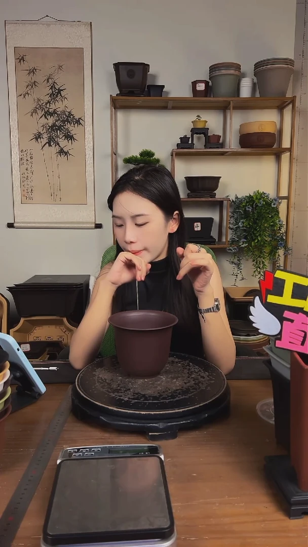 10只15口径金钟紫檀色