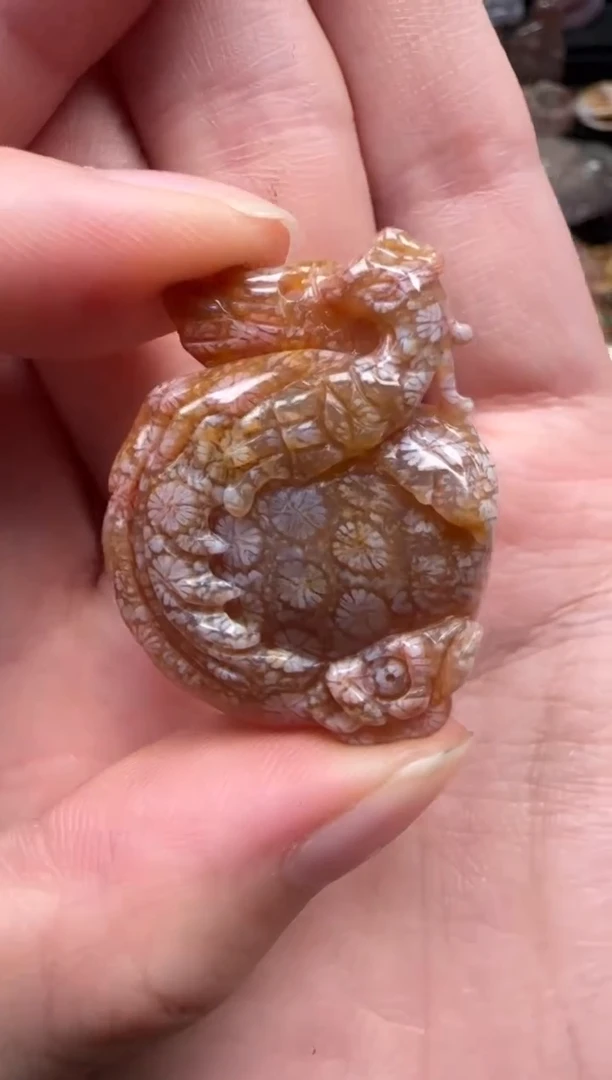 颈饰未镶嵌硅化珊瑚（珊瑚玉）106