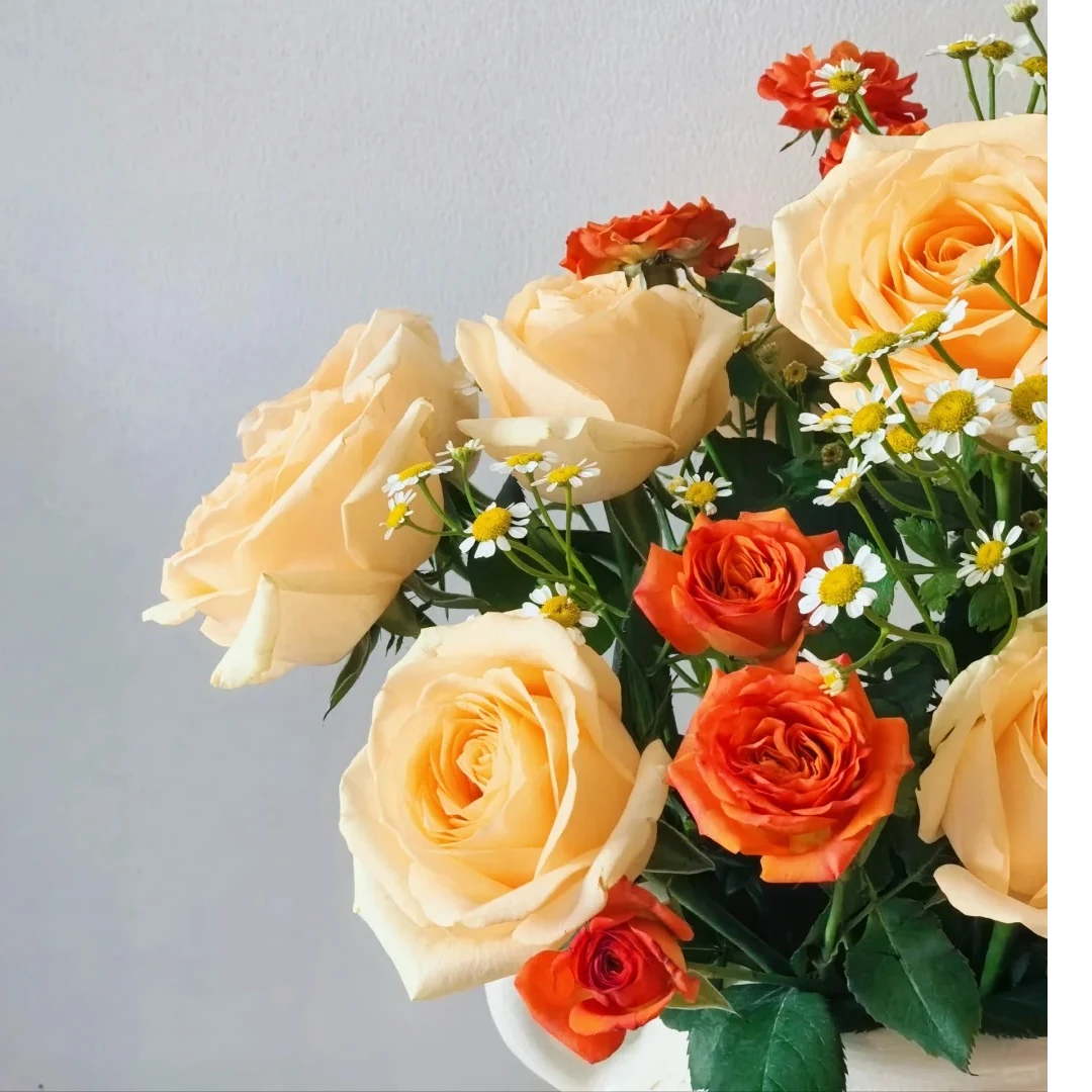 橘子汽水花束组合【香槟10枝+橙色芭比5枝+白风铃1扎】  北方地区今天拍明天到