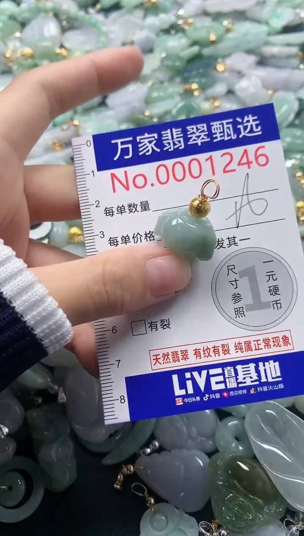 吊坠(不含链)未镶嵌翡翠1246