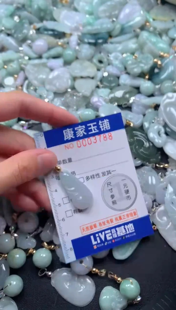 颈饰未镶嵌翡翠3788