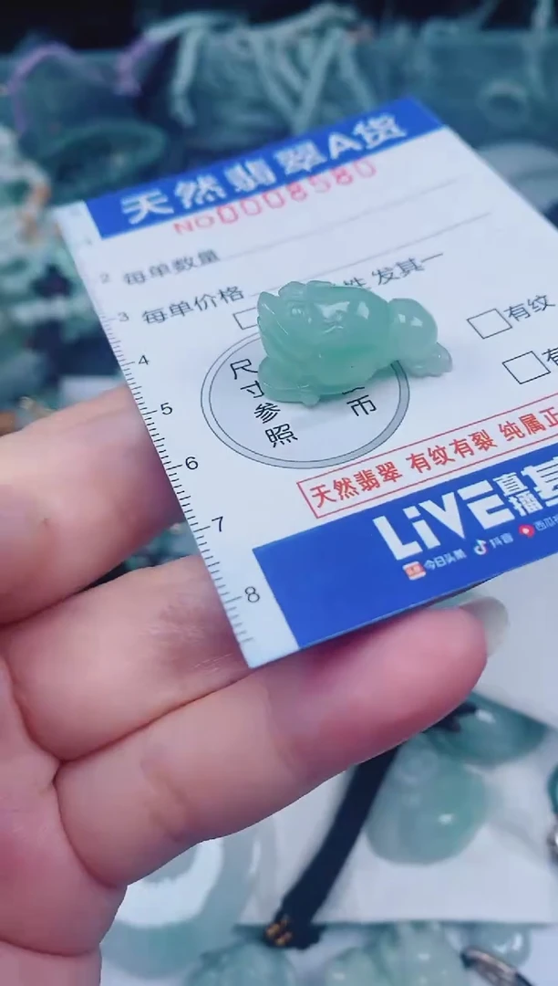 颈饰未镶嵌翡翠00008580