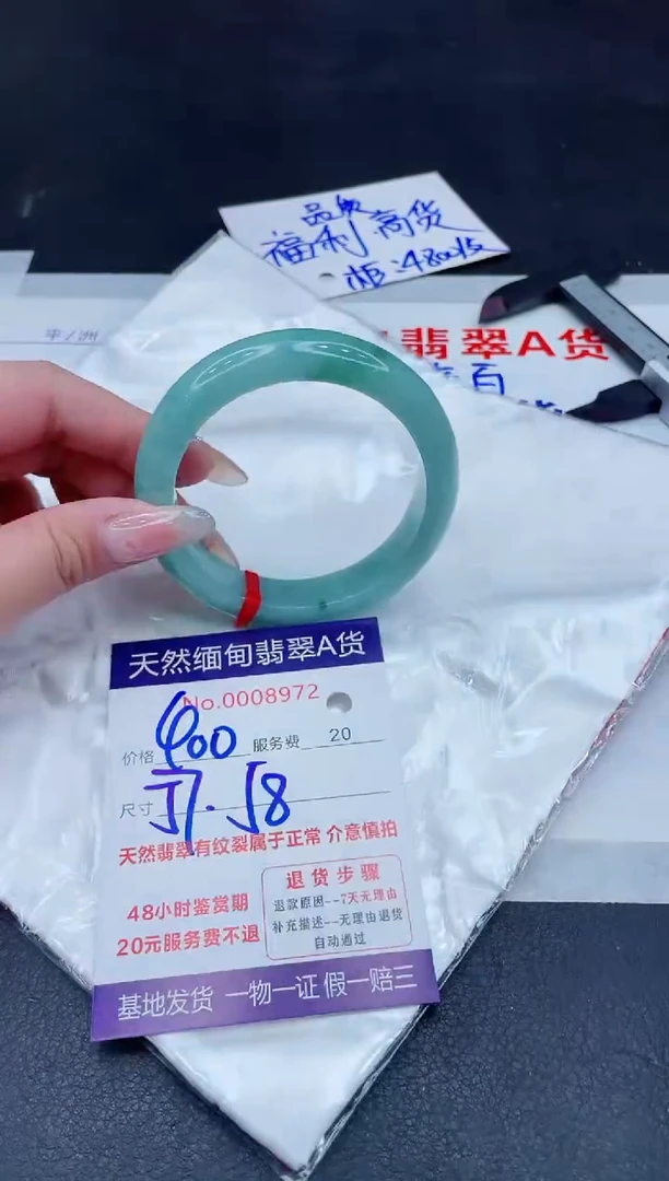 未镶嵌手镯翡翠400.00