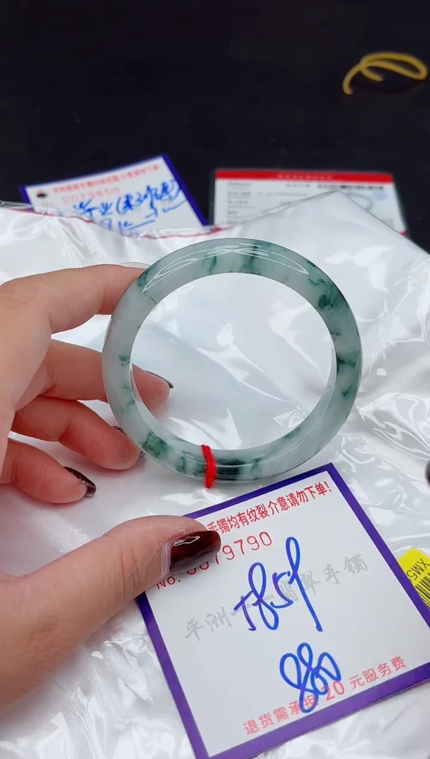 未镶嵌手镯翡翠11111111