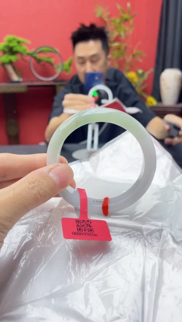 未镶嵌手镯翡翠12