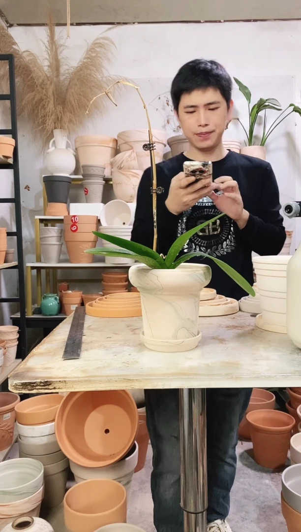 15*14绿白陶蘑菇 1盆1托