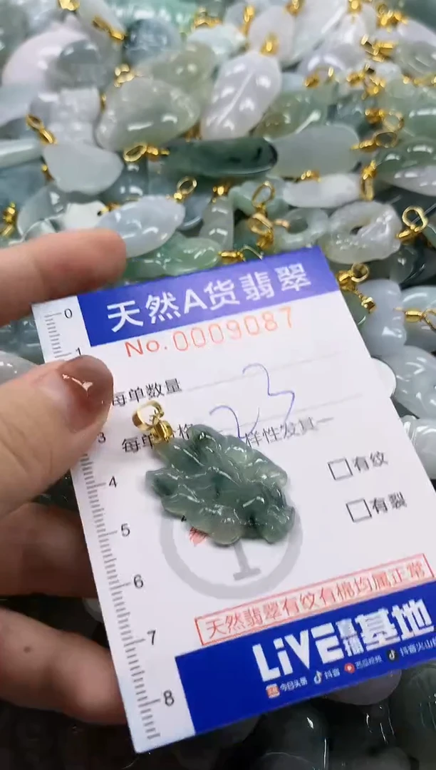 颈饰未镶嵌翡翠天然A货翡翠