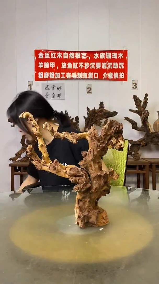 香榧木流*金丝红木   羊蹄甲