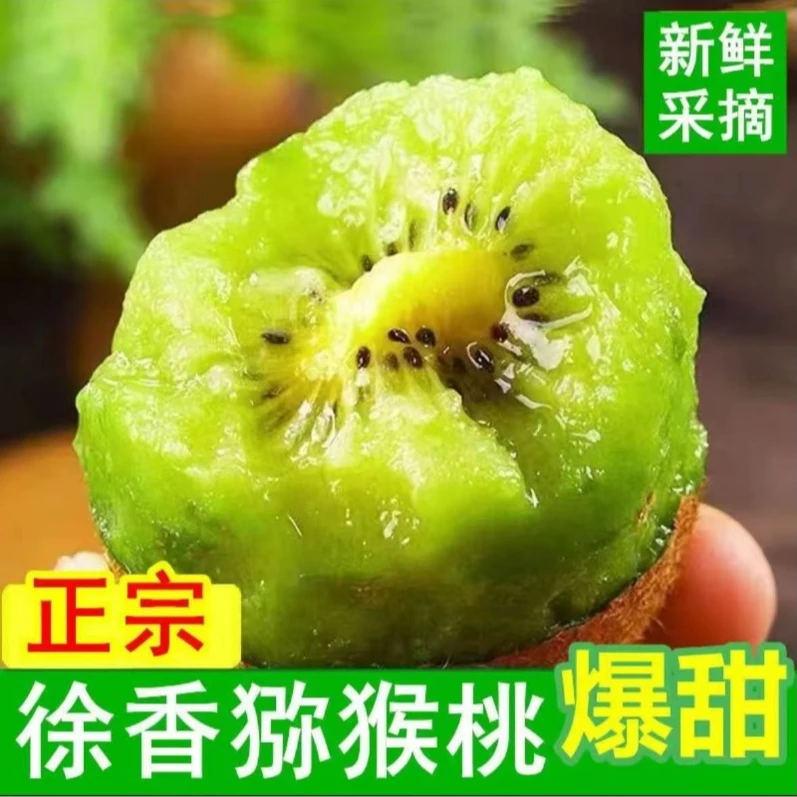 陕西周至正宗徐香猕猴桃奇异果70g-150g绿心应季水果坏果包赔彩箱