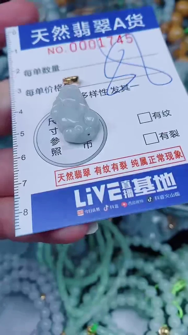翡翠未镶嵌颈饰00001745